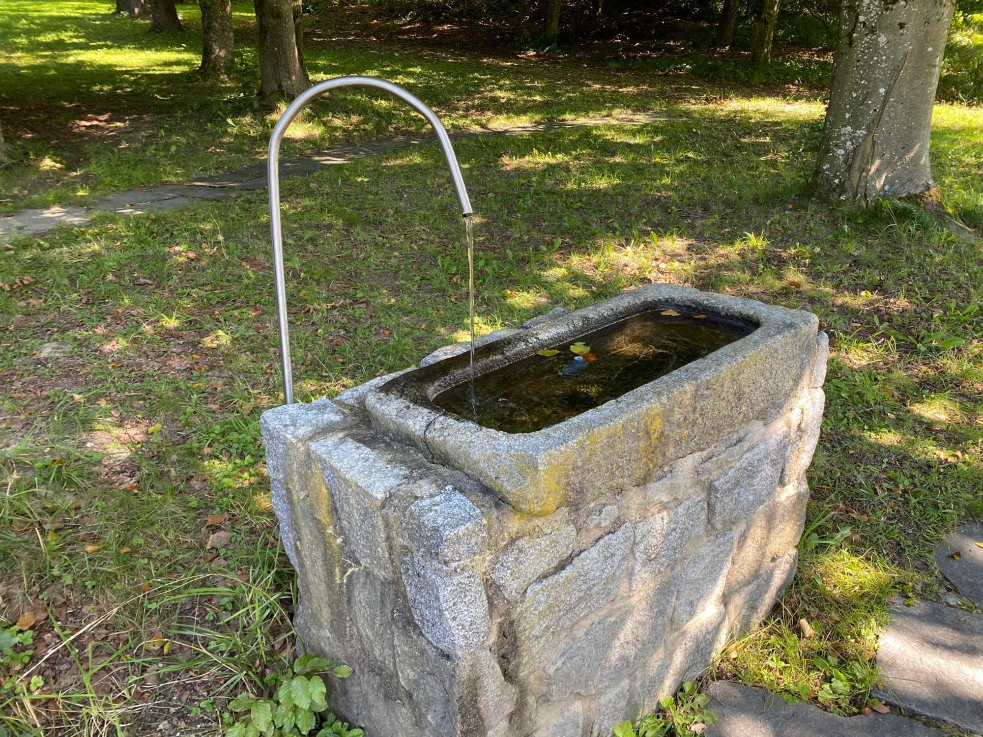 Отель Aquaquell Bad Pilzweg Fuerstenzell Экстерьер фото